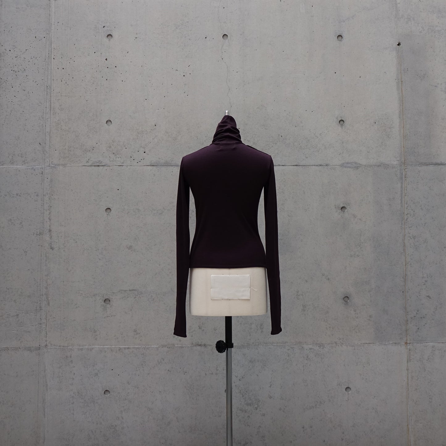 Frayed Hem Fitted Top in Plum