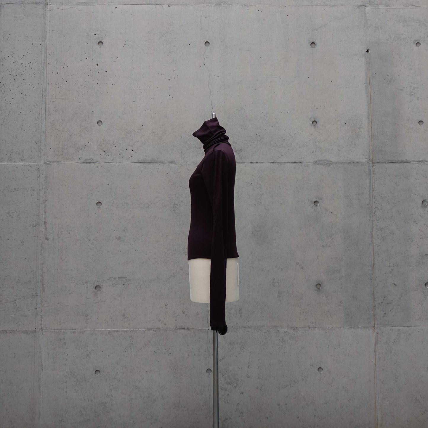 Frayed Hem Fitted Top in Plum